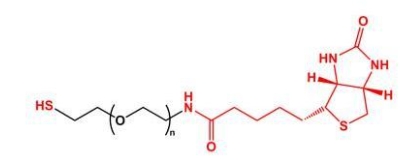SH-PEG-Biotin； Biotin-PEG-SH；生物素聚乙二醇巯基