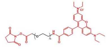RB-PEG-NHS，罗丹明聚乙二醇活性酯 ，Rhodamine-PEG-NHS