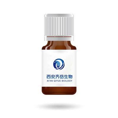 1706256868600853.jpeg 封面1.jpg