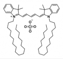 DiD perchlorate, 127274-91-3，1,1'-双十八烷基-3,3,3',3'-四甲基吲哚二碳花菁高氯酸盐