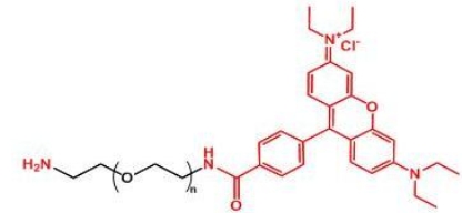 Rhodamine-PEG-NH2；罗丹明聚乙二醇氨基