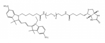 Cy3-PEG-Biotin；Cy3-聚乙二醇-生物素