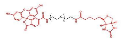 FITC-PEG-Biotin；荧光素聚乙二醇生物素；Biotin-PEG-FITC