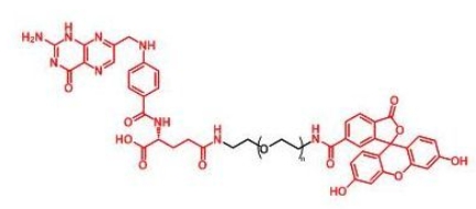 Folate-PEG-FITC；FITC-PEG-FA；荧光素聚乙二醇叶酸 