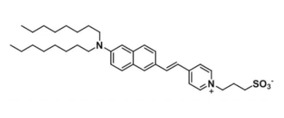 Di-8-ANEPPS，157134-53-7