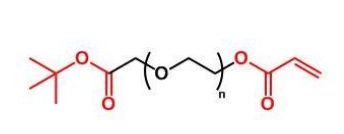 COOtBu-PEG-AC； COOtBu-PEG-Acrylate；叔丁酯聚乙二醇丙烯酸酯