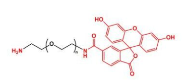 FITC-PEG-NH2；荧光素聚乙二醇氨基；Amine-PEG-FITC