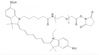 Cy7-PEG-NHS ester；Cy7-聚乙二醇-活性酯