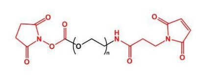 NHS-PEG-MAL； MAL-PEG-NHS；活性酯聚乙二醇马来酰亚胺 
