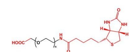COOH-PEG-Biotin；羧基聚乙二醇生物素