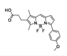 BODIPY TMR carboxylic acid, 287384-28-5