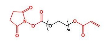 NHS-PEG-Acrylate； AC-PEG-NHS；活性酯聚乙二醇丙烯酸酯 