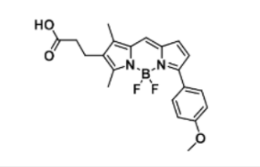 BODIPY TMR carboxylic acid, 287384-28-5