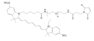 Cy7-PEG-Mal；Cy7-聚乙二醇-马来酰亚胺；Cy7-PEG-Maleimide