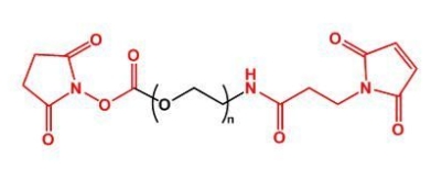 NHS-PEG-MAL MAL-PEG-NHS	活性酯聚乙二醇马来酰亚胺