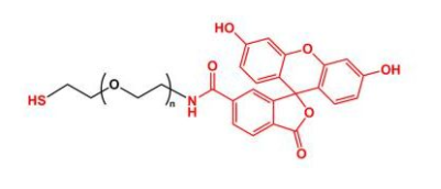 FITC-PEG-SH；荧光素聚乙二醇巯基 ；Thiol-PEG-FITC