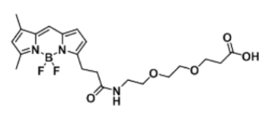 BODIPY FL-PEG2-COOH