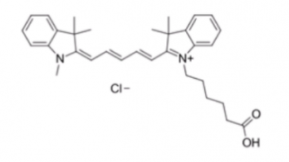 Cyanine5 carboxylic acid/Cy5 COOH(Methyl)；1032678-07-1；脂性Cy5-羧基(Me)