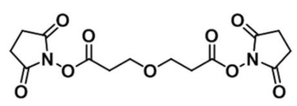 NHS-PEG1-NHS ester；65869-64-9；双(2,5-二氧代吡咯烷-1-基) 3,3-氧基二丙酸酯