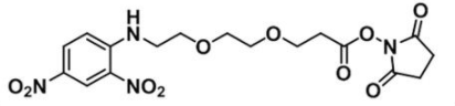 DNP-PEG2-NHS ester的基本信息