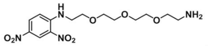 DNP-PEG3-NH2的分子量