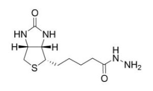 Biotin-HZ 生物素酰肼；D-Biotin hydrazide；66640-86-6