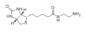 生物素化试剂，用于修饰蛋白质，抗体或其他生物小分子。
