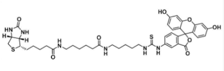 5-FITC Biotin；5-荧光素-生物素；134759-22-1