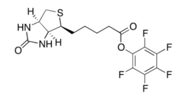 Biotin-PFP；120550-35-8；生物素五氟苯酯