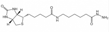 LC-(+)-Biotin hydrazide；109276-34-8；生物素酰胺基己酰肼