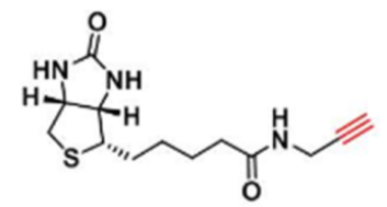 Biotin alkyne; 773888-45-2；生物素-炔基