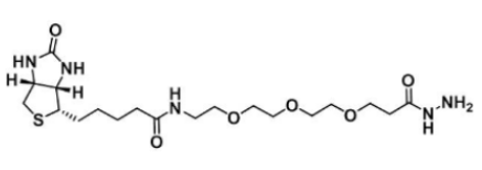 Biotin-PEG3-hydrazide；1381861-94-4；生物素-三乙二醇-酰肼