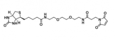 Biotin-PEG2-maleimide；305372-39-8；生物素-二乙二醇-马来酰亚胺