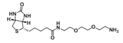 Biotin-PEG2-amine；138529-46-1；生物素-二乙二醇-氨基
