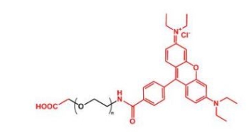 NHS-PEG-Rhodamine;活性酯聚乙二醇罗丹明
