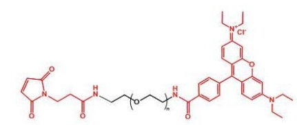 Rhodamine-PEG-MAL	罗丹明聚乙二醇马来酰亚胺