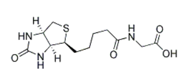 N-Biotinyl Glycine；160390-90-9；生物素甘氨酸