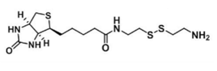 Biotinyl Cystamine；128915-82-2； 生物素-半胱胺