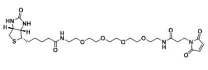 Biotin-PEG4-maleimide；生物素-四乙二醇-马来酰亚胺