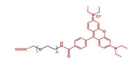  Rhodamine-PEG-COOH；罗丹明聚乙二醇羧基