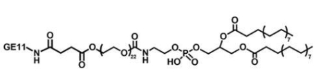 DSPE-PEG-GE11，磷脂-聚乙二醇-肿瘤细胞表皮生长因子肽GE11