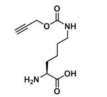 N-丙炔基-L-赖氨酸；1215204-46-8；N-propargyloxycarbonyl-L-lysine