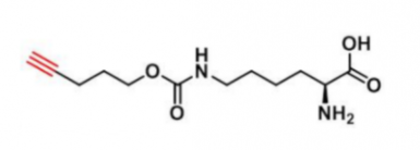 N-戊炔基-L-赖氨酸；1428845-01-5；N-Pentynyloxycarbonyl-L-lysine