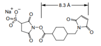 Sulfo-SMCC；92921-24-9；4-(N-马来酰亚胺甲基)环己烷-1-羧酸磺酸基琥珀酰亚胺酯钠盐