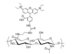 HA-RB; 透明质酸-罗丹明B；HA-Rhodamine B