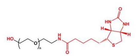 HO-PEG-Biotin Biotin-PEG-OH 羟基聚乙二醇生物素