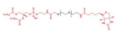  DSPE-PEG-Biotin Biotin-PEG-DSPE 磷脂聚乙二醇生物素 