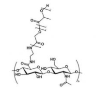 HA-PLGA；透明质酸-聚乳酸羟基乙酸共聚物