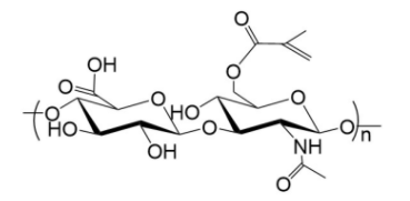 HA-MA；透明质酸-甲基丙烯酸酯；Hyaluronate-Methylpropiolate