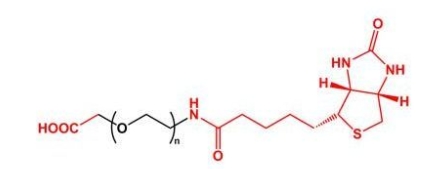  Biotin-PEG-COOH COOH-PEG-BN 羧基聚乙二醇生物素 